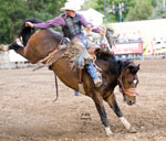 T_04_bronc-2.jpg